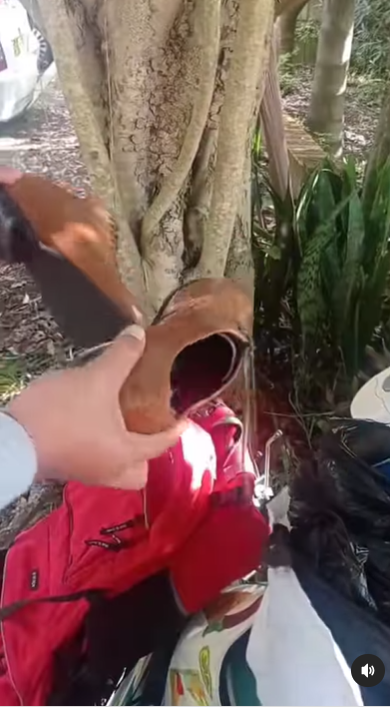 sepatu bekas