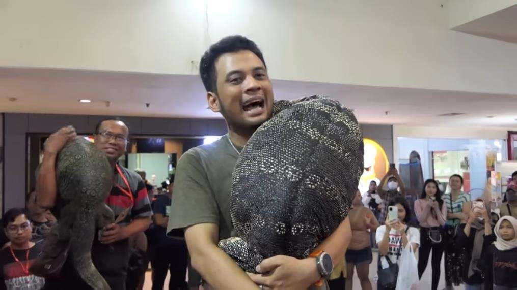 Panji Petualang gendong biawak raksasa mirip komodo.