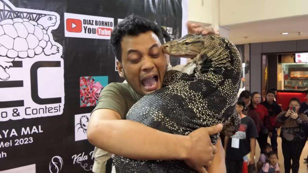 Panji Petualang gendong biawak raksasa mirip komodo.