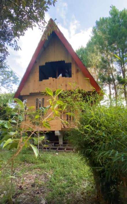 Rumah panggung di tengah hutan.