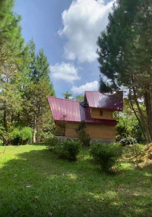 Rumah panggung di tengah hutan.