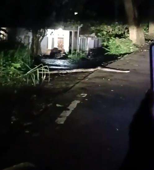Pulang ke rumah malam-malam ketemu ular piton raksasa.