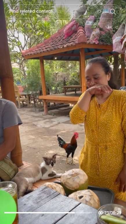 Dikira Minuman, Bule ini Malah Tenggak Habis Air Kobokan di Warung Bali, Temannya yang Sudah Tahu Langsung Ngakak