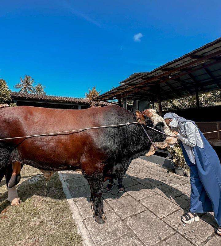 Potret Hewan Kurban Ria Ricis