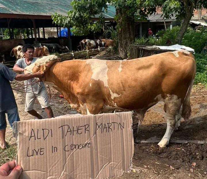 Potret Hewan Kurban Aldi Taher