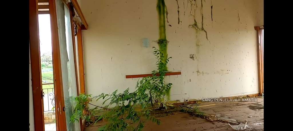 Potret Rumah Mendiang Alda Risma