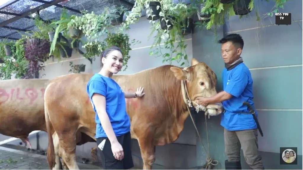 Ayu Ting Ting potong hewan kurban