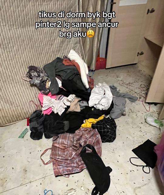Ditinggal 3 tahun karena Covid, kamar asrama di China penuh kotoran tikus.
