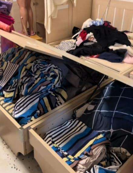 Ditinggal 3 tahun karena Covid, kamar asrama di China penuh kotoran tikus.