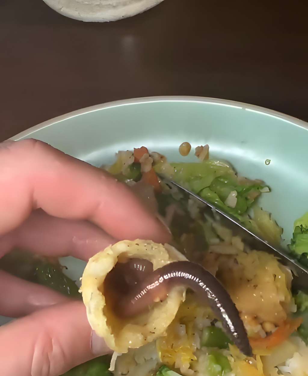 Baru gigit sekali, temukan cacing tanah hidup di dalam risoles.