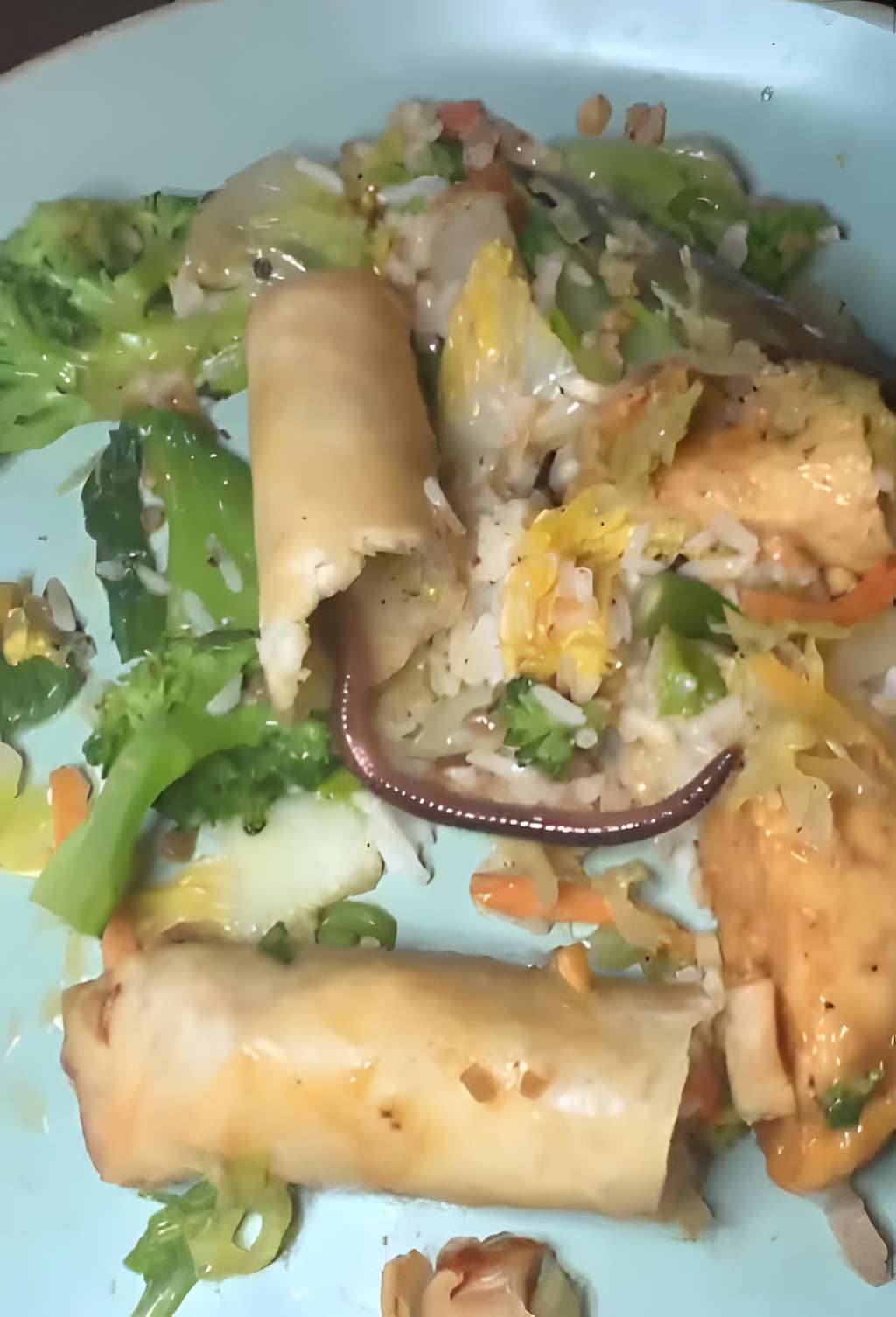 Baru gigit sekali, temukan cacing tanah hidup di dalam risoles.