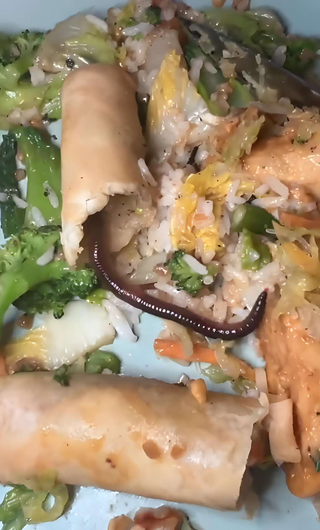 Baru gigit sekali, temukan cacing tanah hidup di dalam risoles.