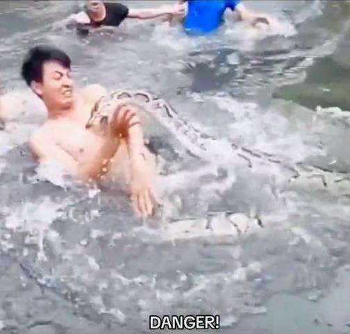 Asyik mandi di sungai diserang ular piton.