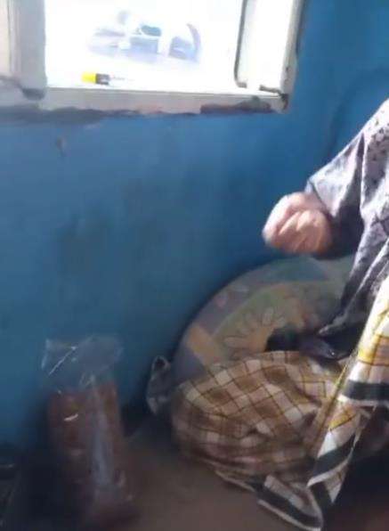 Salah makan makanan kucing dikira biskuit.
