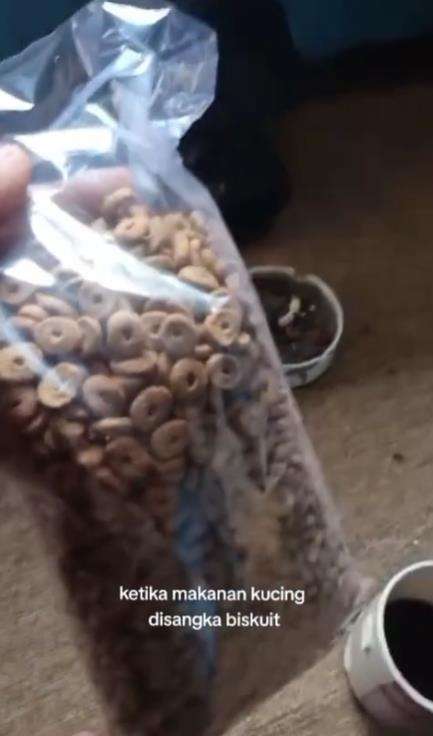 Salah makan makanan kucing dikira biskuit.