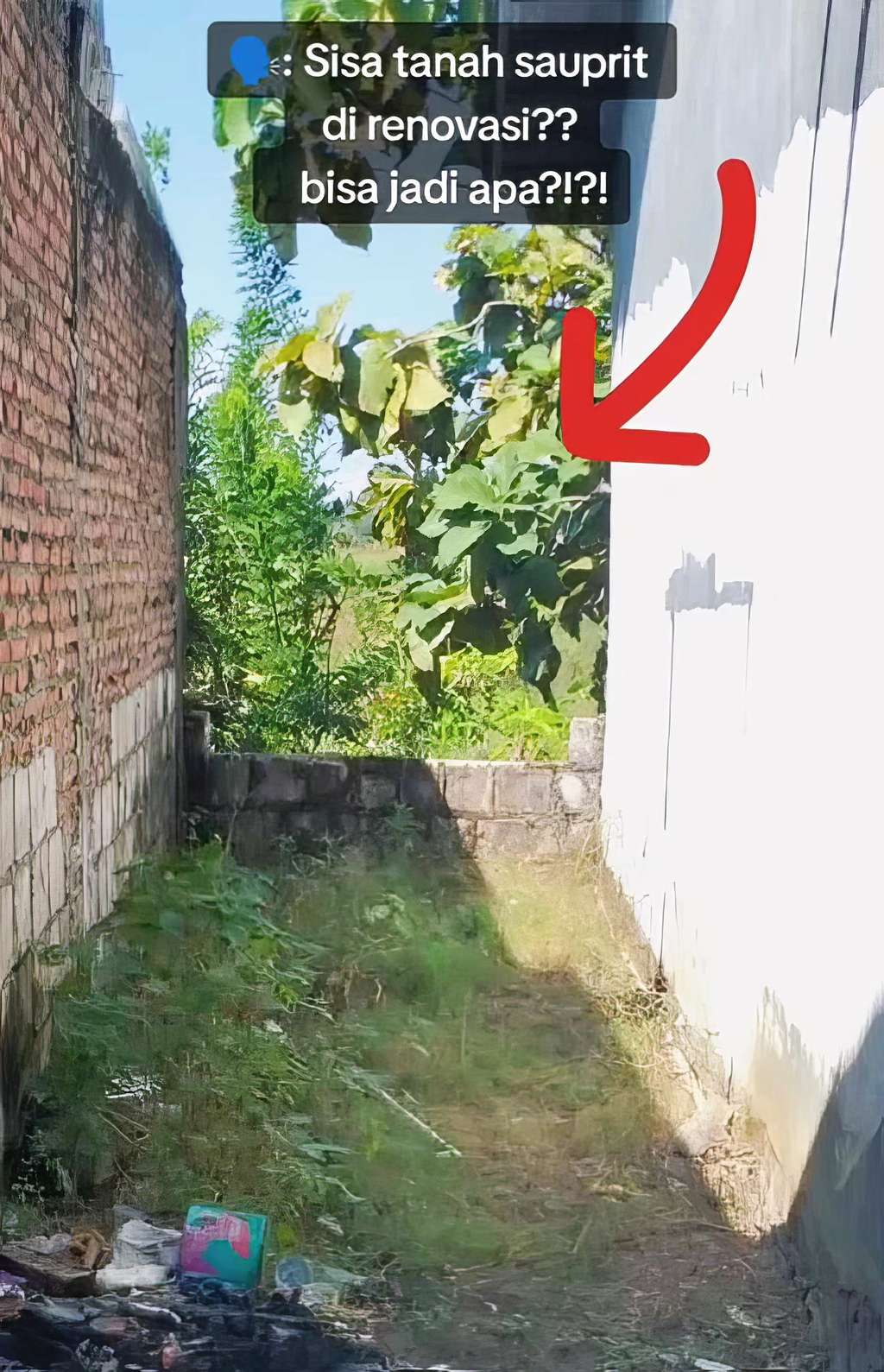 Dapur mungil bernuansa tropis di lahan sempit.