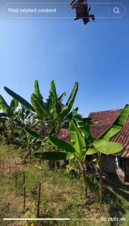 Momen House Tour Rumah Sultan pada Zamannya di Blora, Jawa Tengah