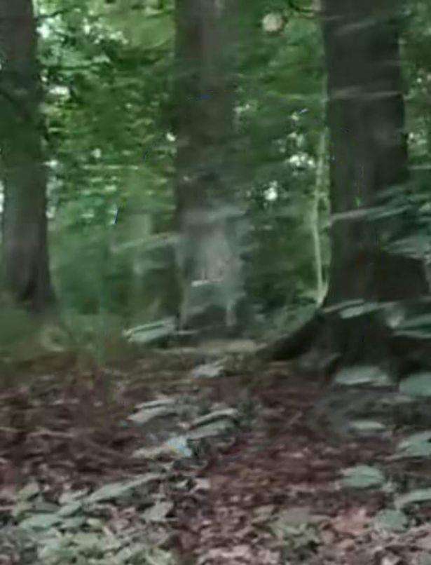 Penampakan hantu di sekitar Tugu Huskar Pit, South Yorkshire, Inggris.
