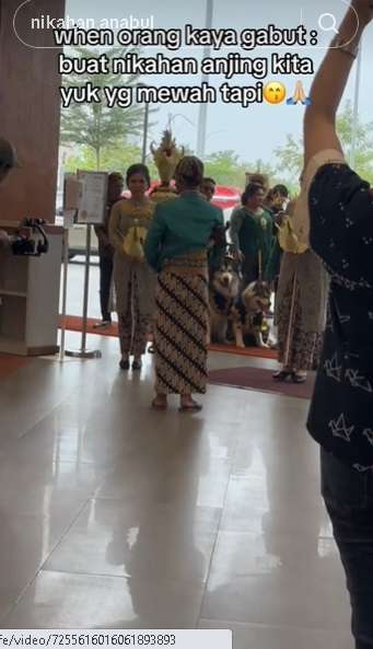 Pernikahan Anjing