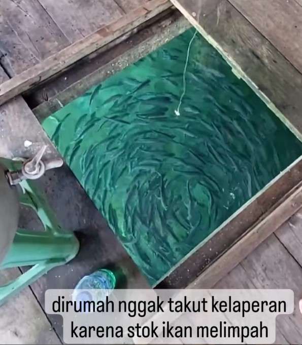 Rumah di atas laut