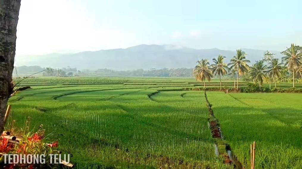 Potret pemandangan desa yang mirip dengan lukisan.