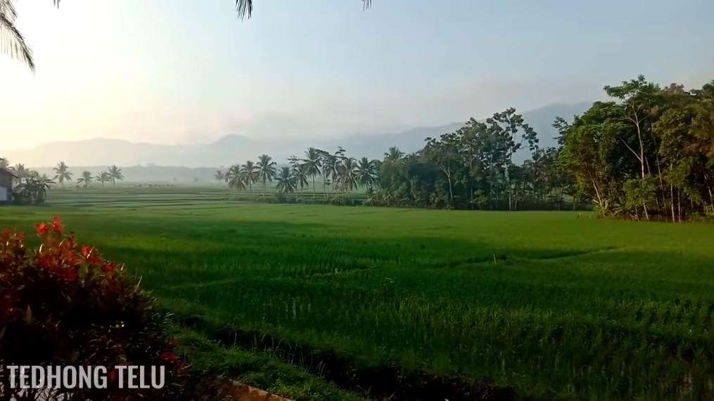 Potret pemandangan desa yang mirip dengan lukisan.