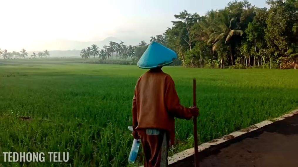 Potret pemandangan desa yang mirip dengan lukisan.