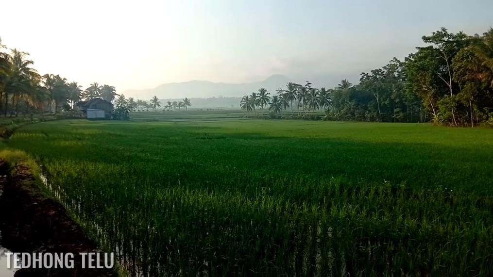 Potret pemandangan desa yang mirip dengan lukisan.