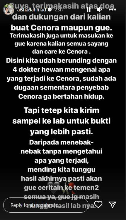 Unggahan Alshad Ahmad