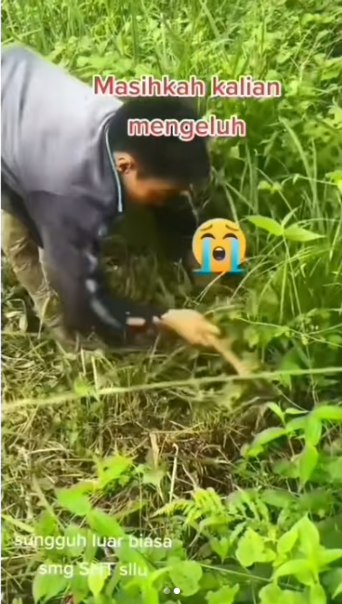 Video Perjuangan Pria Mencari Nafkah Pakai Tangan Untuk Berjalan, Bikin Tertampar yang Melihatnya