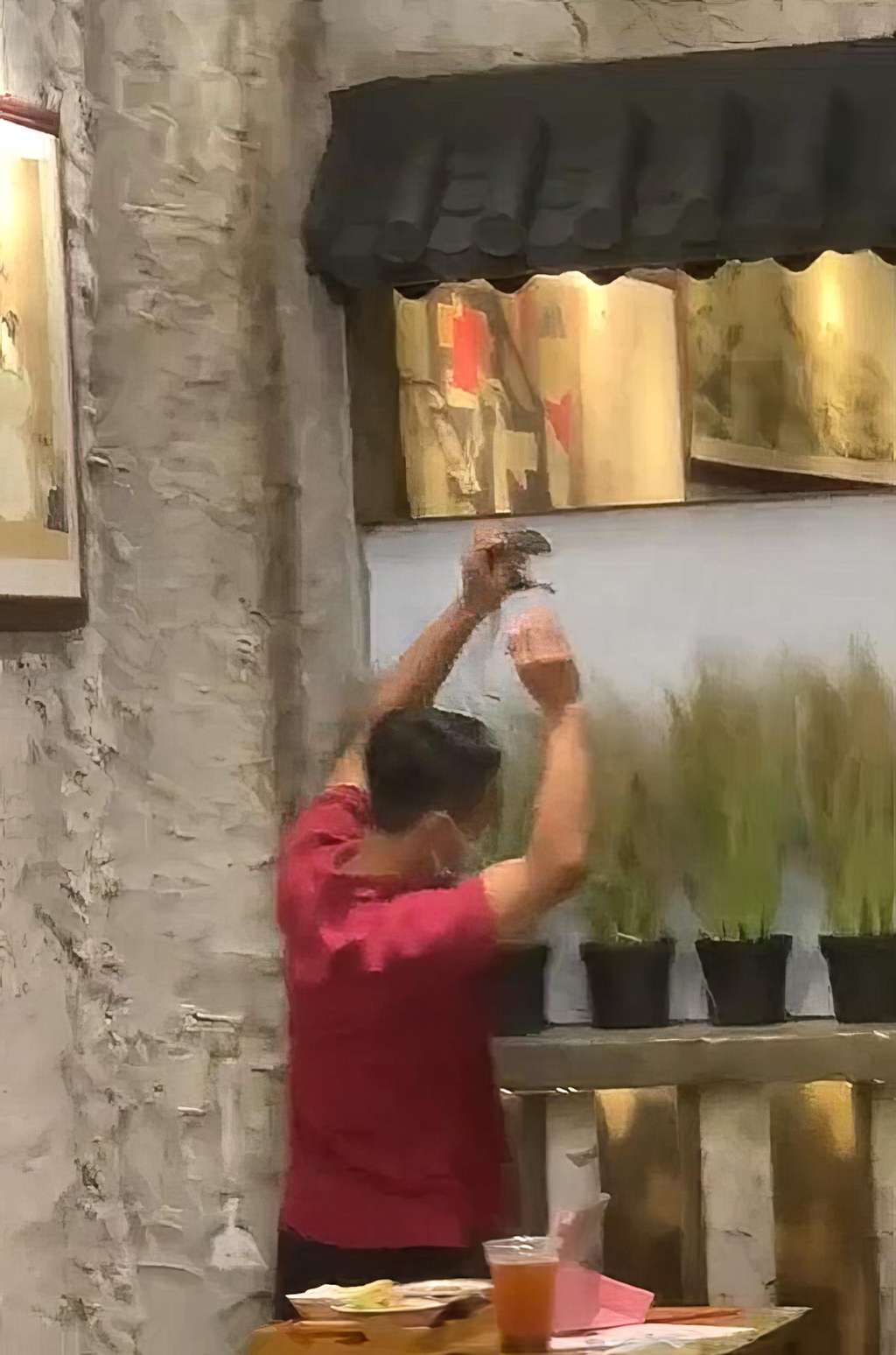 Momen tikus mau kabur ke plafon ditangkap karyawan, disaksikan pengunjung restoran.