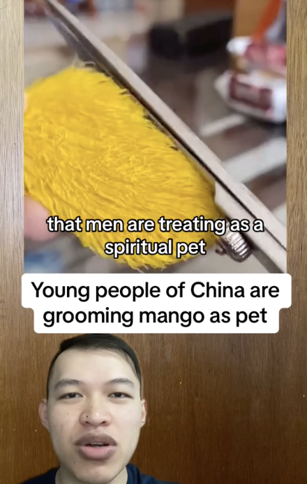 Memelihara Mangga