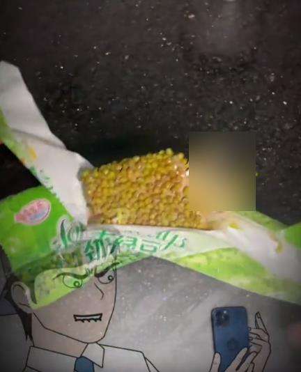 Es krim aneh rasa kacang hijau.