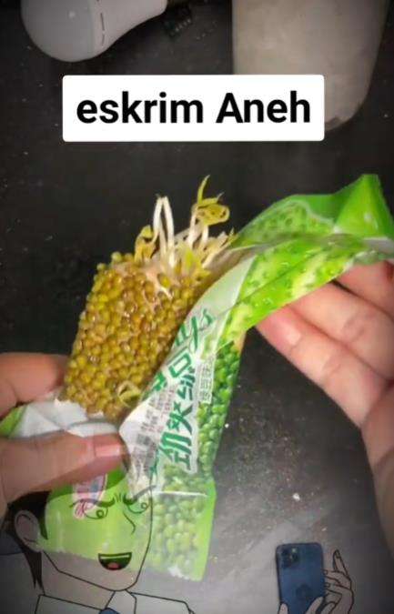 Es krim aneh rasa kacang hijau.