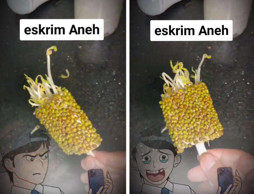 Es krim aneh rasa kacang hijau.