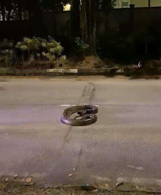 Momen pemuda pemberani ajak bermain ular piton malam-malam.