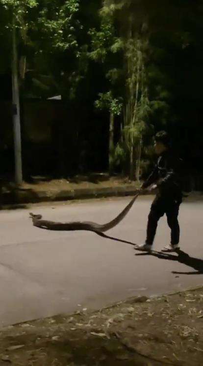 Momen pemuda pemberani ajak bermain ular piton malam-malam.