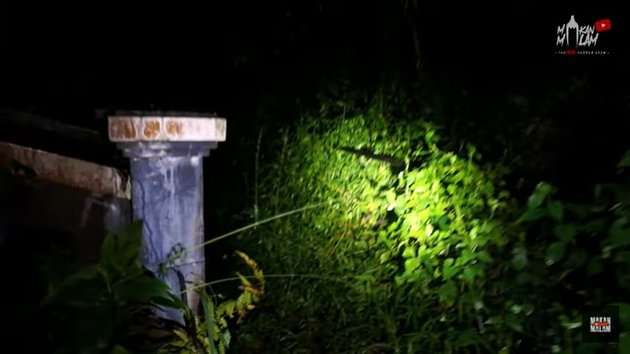 Potret rumah Chelsea Olivia di Bandung