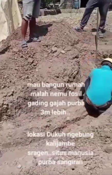 Mau bangun pondasi rumah, malah temukan fosil gading gajah purba.