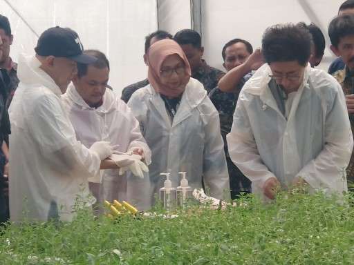 Demi Bisa Mensejahterakan Para Petani Herbal, Sido Muncul Memutuskan Bekerjasama dengan Kemenkop UKM