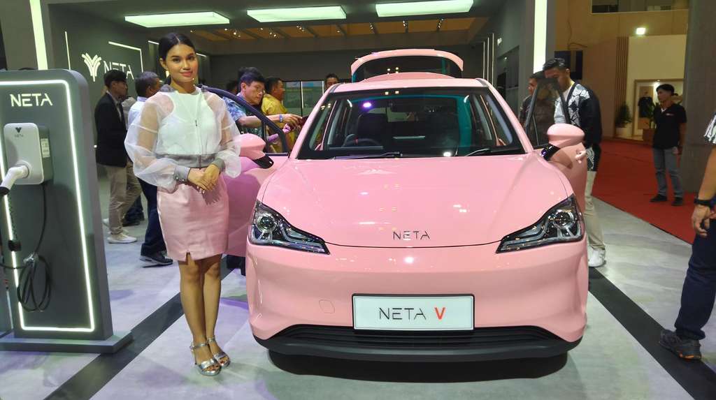 neta v