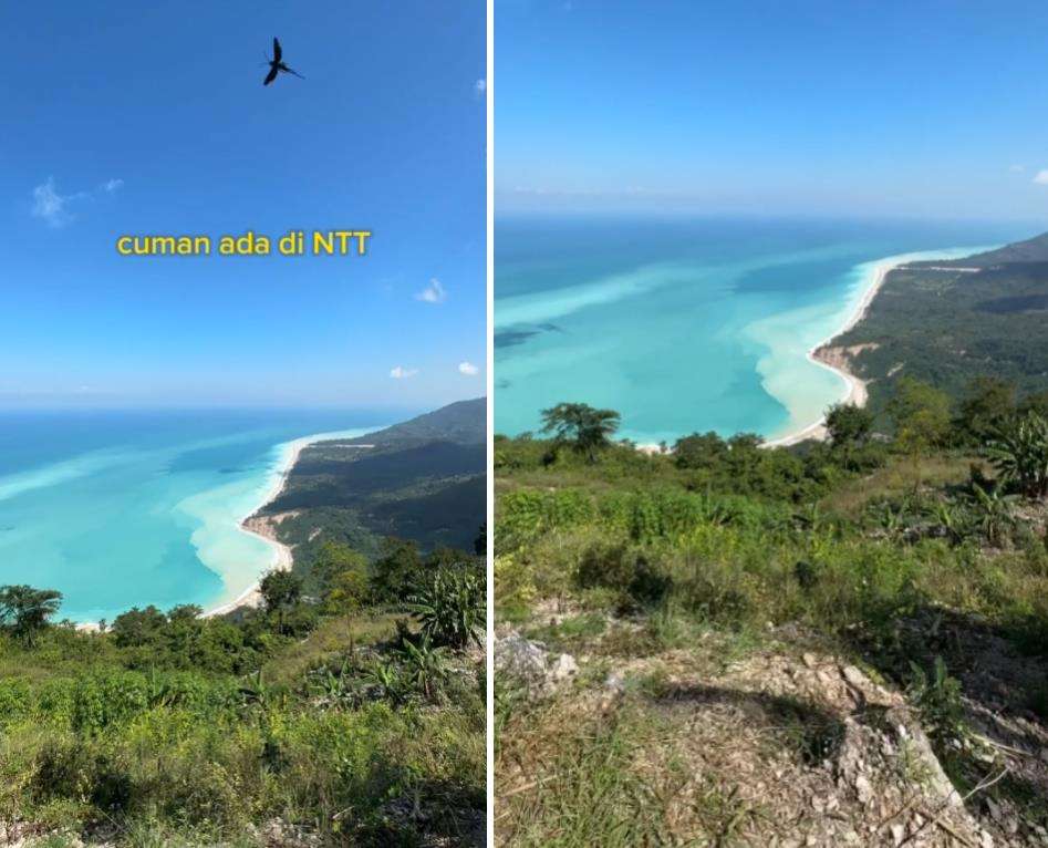 Viral SD Negeri di NTT punya pemandangan cantik di belakang toiletnya.