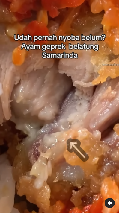ayam geprek belatung