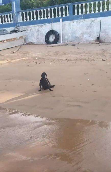Penampakan sosok seram duduk di tepi pantai.