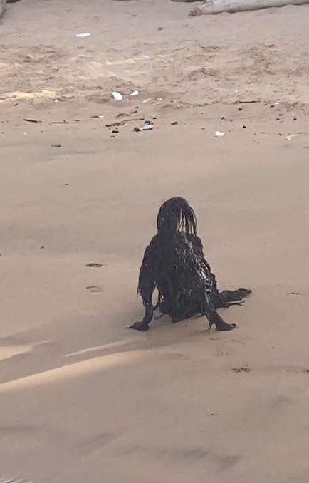 Penampakan sosok seram duduk di tepi pantai.