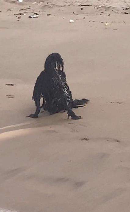 Penampakan sosok seram duduk di tepi pantai.