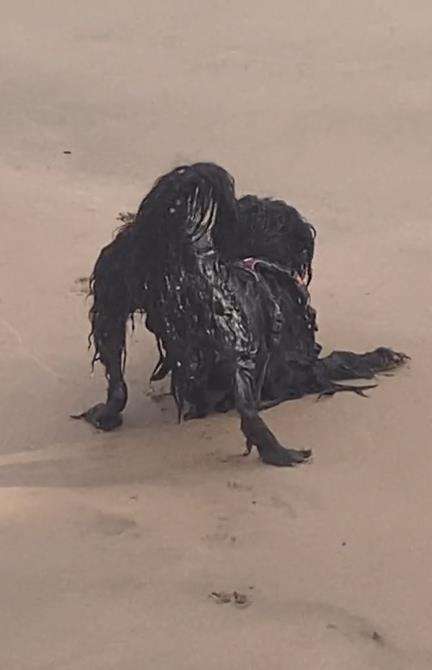 Penampakan sosok seram duduk di tepi pantai.