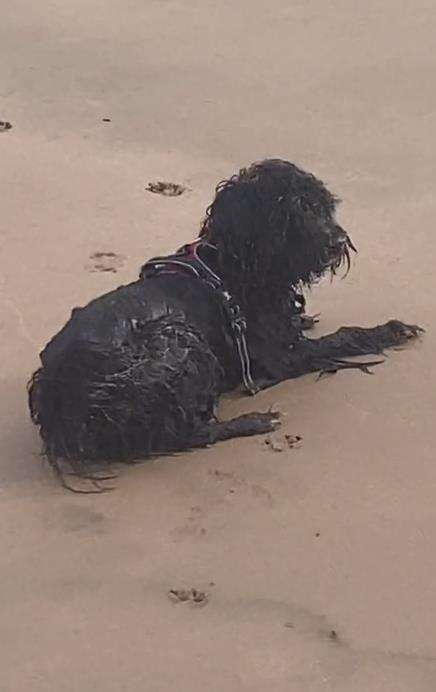 Penampakan sosok seram duduk di tepi pantai.