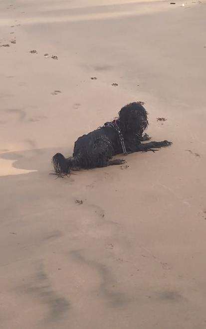 Penampakan sosok seram duduk di tepi pantai.