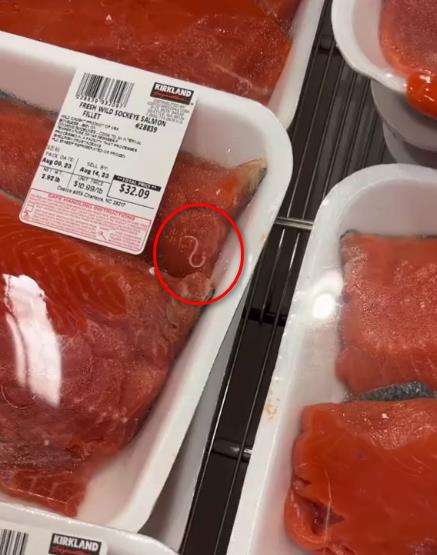 Cacing hidup menggeliat dalam bungkusan ikan salmon.